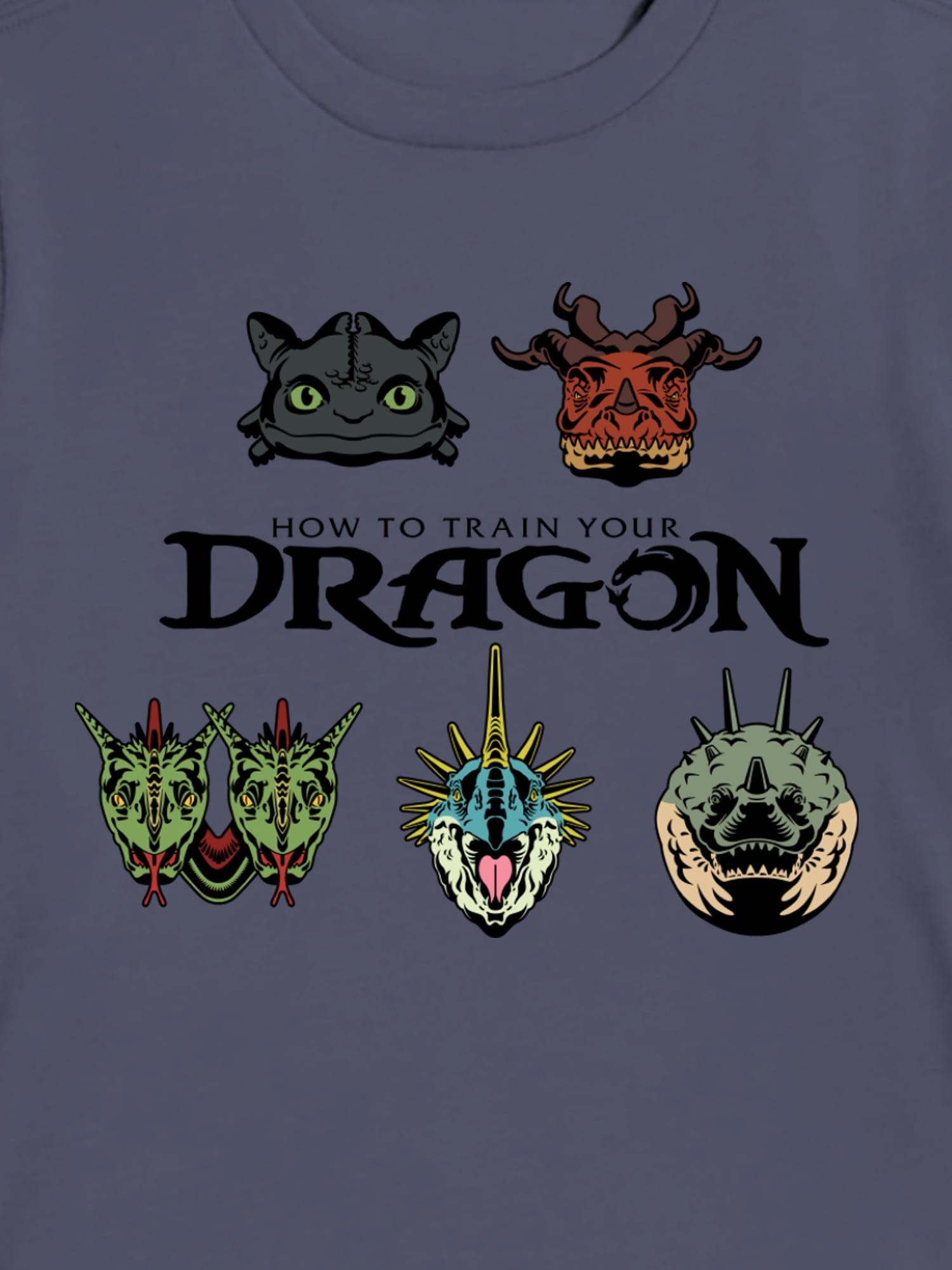 How To Train Your Dragon, Boys' & Big Boys' Graphic T-Shirt, Dragons, Sizes 4-20