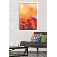 thumbnail image 2 of Red Poppy Flowers Wall Poster, 22.375" x 34" Framed, 2 of 6