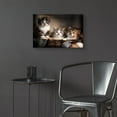 thumbnail image 6 of Epic Art 'Three Kittens' by Jonathan Ross, Acrylic Glass Wall Art, 24"x16", 6 of 8