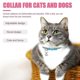 thumbnail image 2 of 2Pcs Cat Neck Ring Adjustable Cat Collar Reflective Cat Collar Breakaway Cat Collars, 2 of 4
