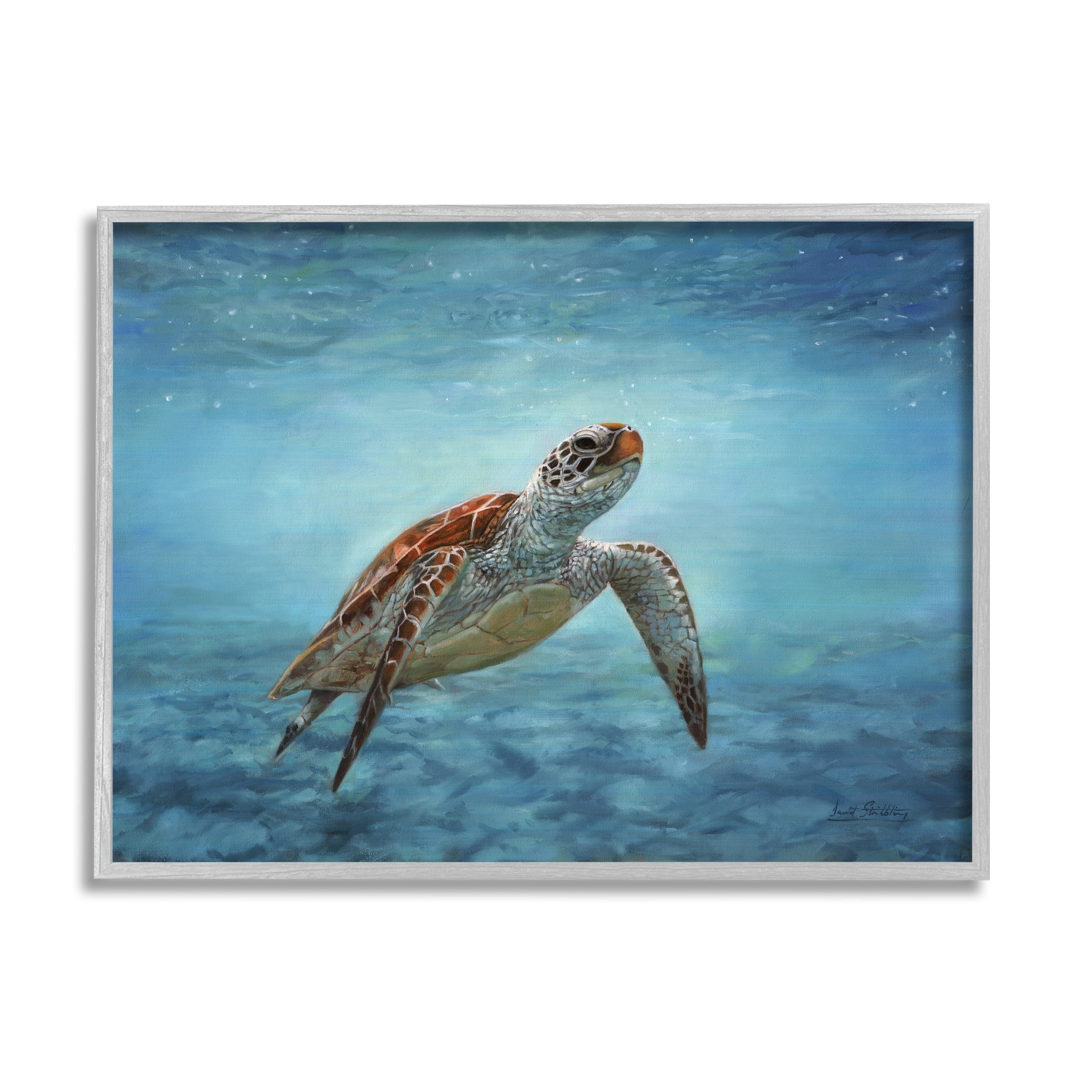 Stupell Industries Sea Turtle Underwater Marine Scene Deep Ocean Water Painting Gray Framed Art Print Wall Art, Design by David Stribbling