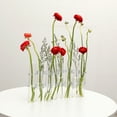 thumbnail image 2 of OUNONA Hinged Test Tube Flower Vase: Plant Propagation Tubes Hinged Flower Vase Hydroponic Plant Vase Transparent Aquatic Plant Flower Container For Home Office, 2 of 6