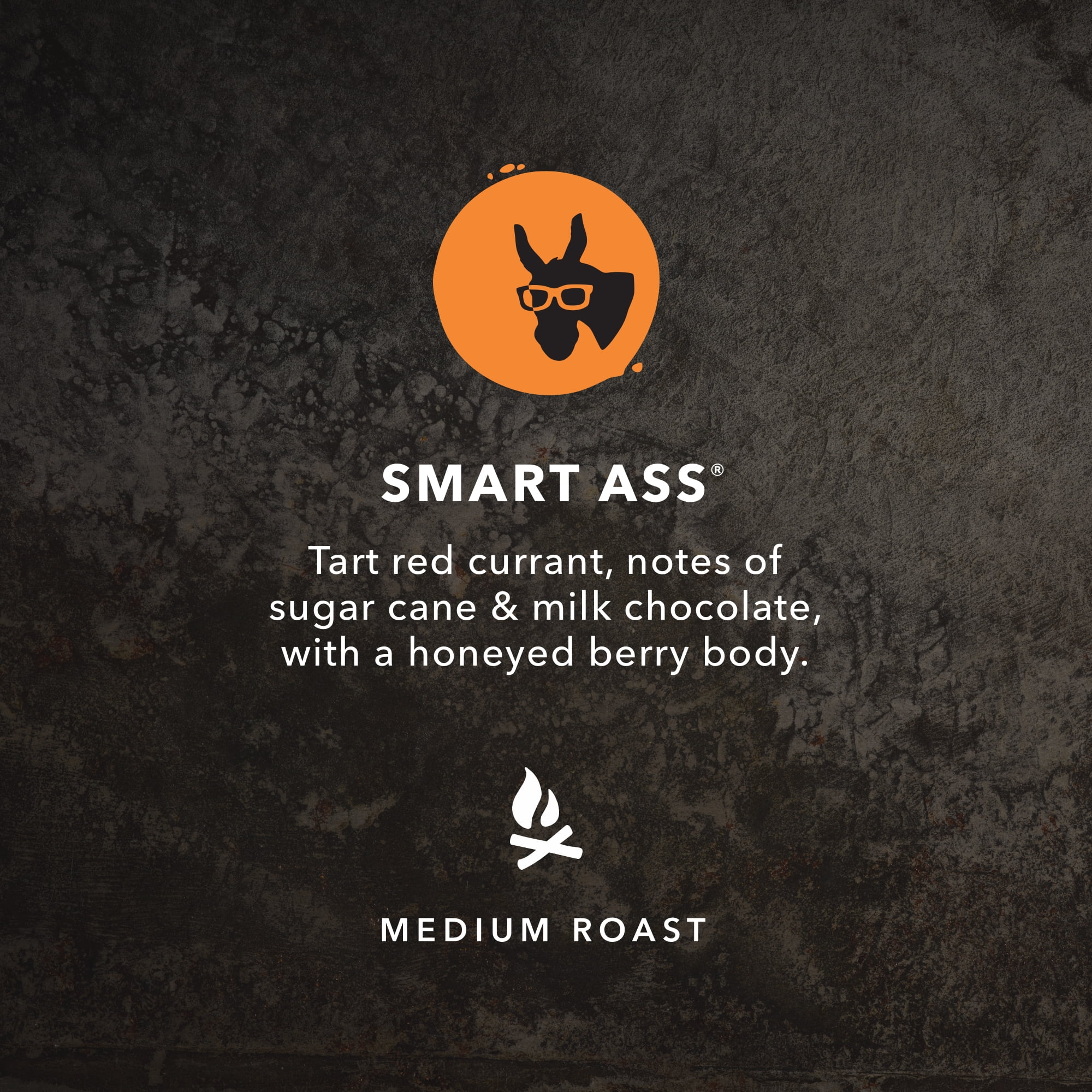 Kicking Horse Coffee, Smart Ass, Medium Roast, Whole Bean, 2.2 lb Bag