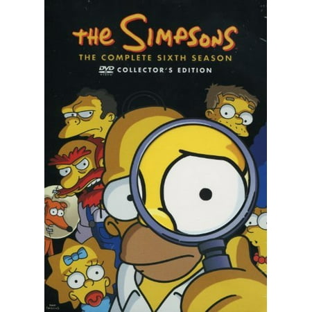 The Simpsons: The Complete Sixth Season (DVD)