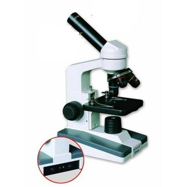 Mon premier microscope