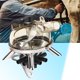 thumbnail image 3 of Piezas accesorias de la máquina de leche de la herramienta del colector de la garra de ordeño del uso de la vaca 300cc, 3 of 8