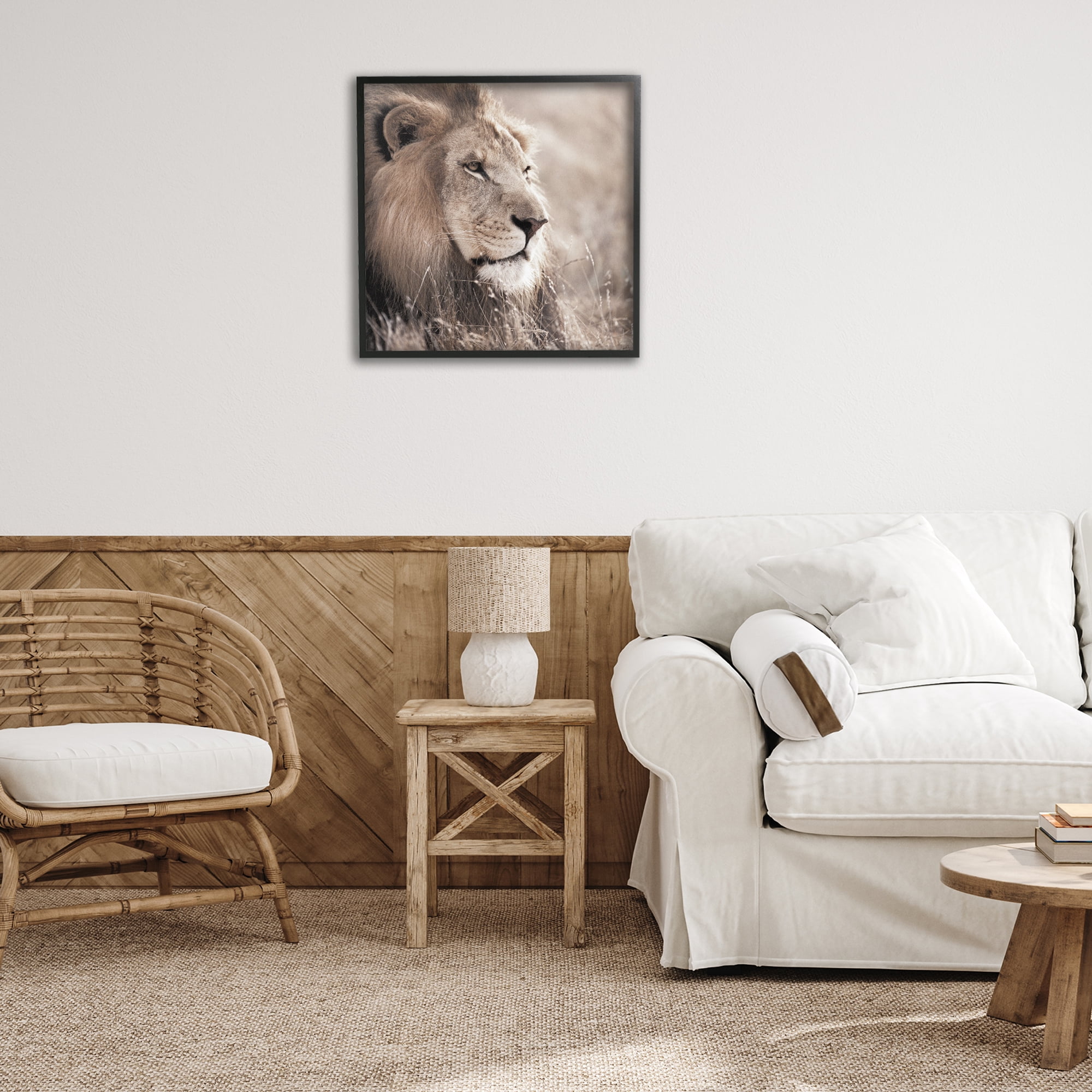 Stupell Industries Strong Gazing Lion Animals & Insects Photography Black Framed Art Print Wall Art, 24 x 24
