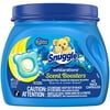 Snuggle Exhilarations Scent Booster, Blue Iris, 42CT