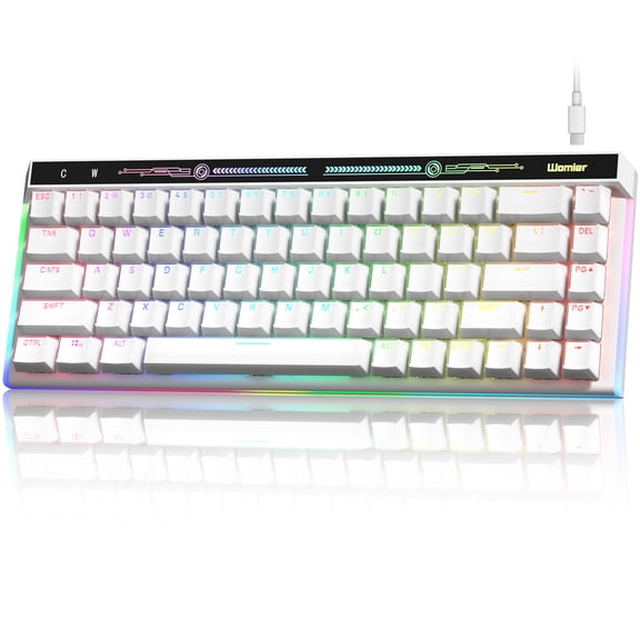COSTOM VK68 Mechanical Gaming Keyboard, 60% Creamy Mechanical Keyboard, RGB Cute Wired Keyboad with Hot Swappable Gasket,for Windows&Mac,Green