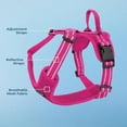 thumbnail image 6 of Air Frontier Mesh Dog Harness with Steel Leash D-Ring, Reflective Stitching, and Lightweight Breathable No-Pull Design, Adjustable Neck and Chest Straps for Small to Large Breeds - FSW, L, 6 of 6