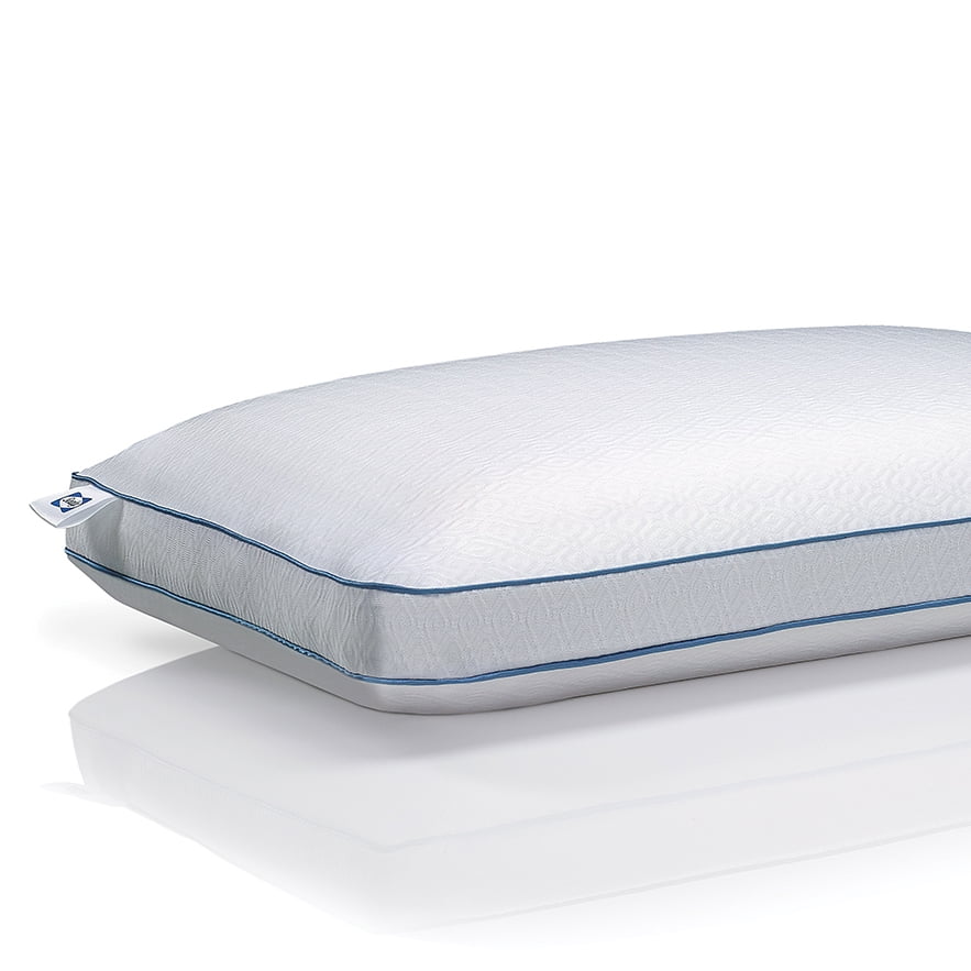 Sealy Chill Cooling Memory Foam Bed Pillow with Support Gel, Standard Size  - Walmart.com
