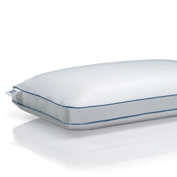 Sealy Chill Cooling Memory Foam Bed Pillow with Support Gel, Standard