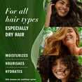 thumbnail image 3 of Herbal Essences Bio:Renew Hydrate Conditioner, Coconut Milk 13.5 oz (Pack of 3), 3 of 6