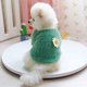thumbnail image 4 of Suéter de felpa suave NQ para perros y gatos talla S verde, 4 of 5