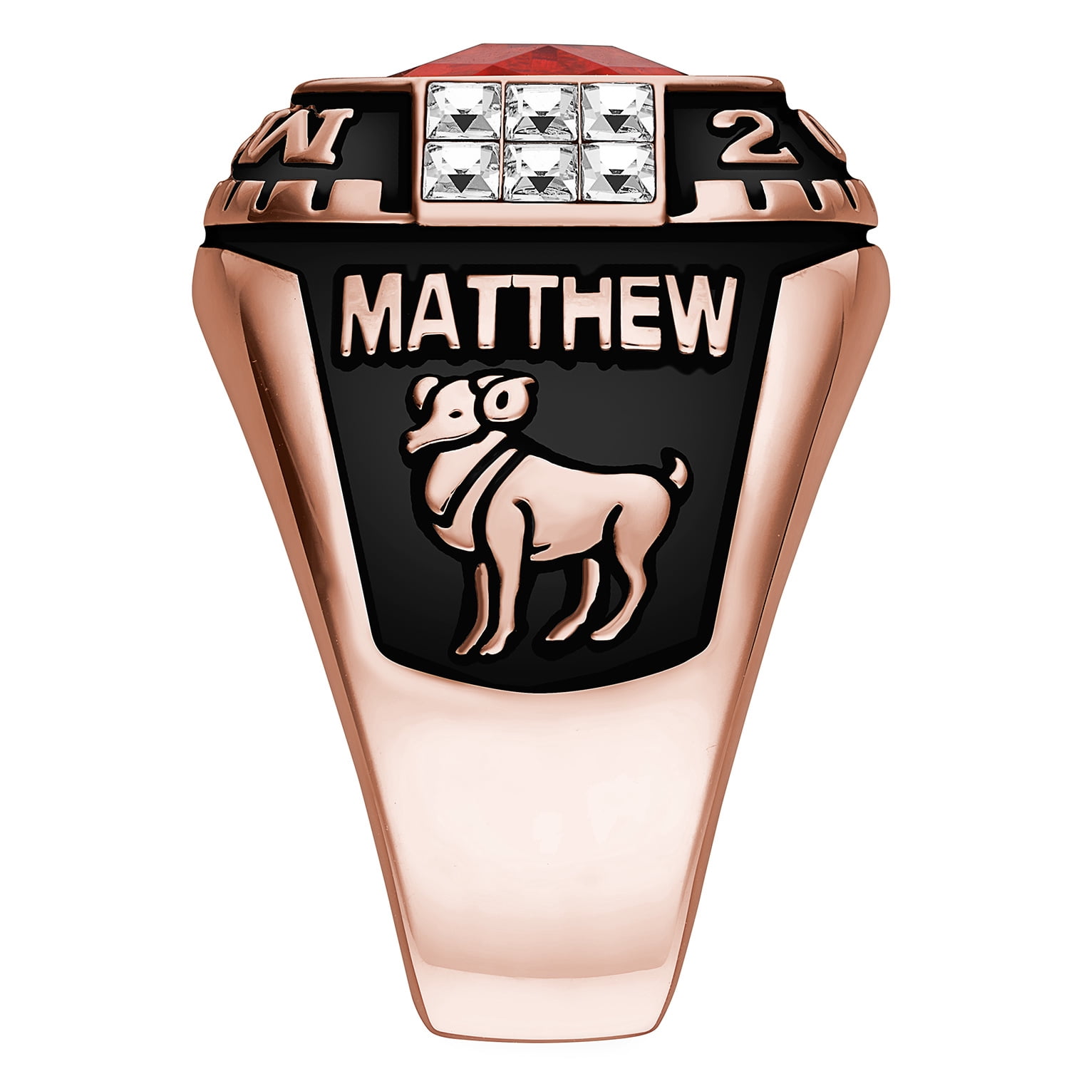 Order Now for 2025 Graduation, Freestyle Men's Rhodium Rose Cushion Birthstone & CZ Class Ring, Personalized, High School or College Graduation