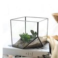 thumbnail image 2 of Contenedor De Terrario Geométrico De De Moderno Decoración De Alféizar De Maceta Maceta Caja De Exhibición De Cubo BLESIY Jardinera suculenta Bonsai, 2 of 7