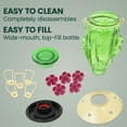 thumbnail image 5 of Perky-Pet Cactus Top-Fill Glass Hummingbird Feeder – 32 oz, 5 of 11