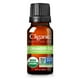 thumbnail image 1 of Cliganic Organic Coriander, Aceites Esenciales para Difusores, 10 ml, 1 of 7