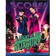 thumbnail image 2 of Night at the Roxbury ( (DVD)), 2 of 2