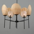 thumbnail image 5 of 12605NABK Maxim Lighting Maldives - 5 Light Chandelier-20.25 Inches Tall and 26 Inches Wide     -Traditional Installation, 5 of 5