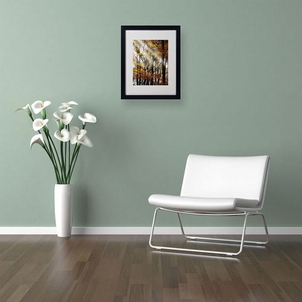 Trademark Fine Art "Just the Light" Canvas Art by Philippe Sainte-Laudy, Black Frame