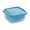B, variant on Food Storage Containers with Lids Fridge Berry Storage Container with Lid/Strainer Fresh Produce Saver Keeper for Scallion Ginger Garlic Vegetable Fruit Meat Lettuce