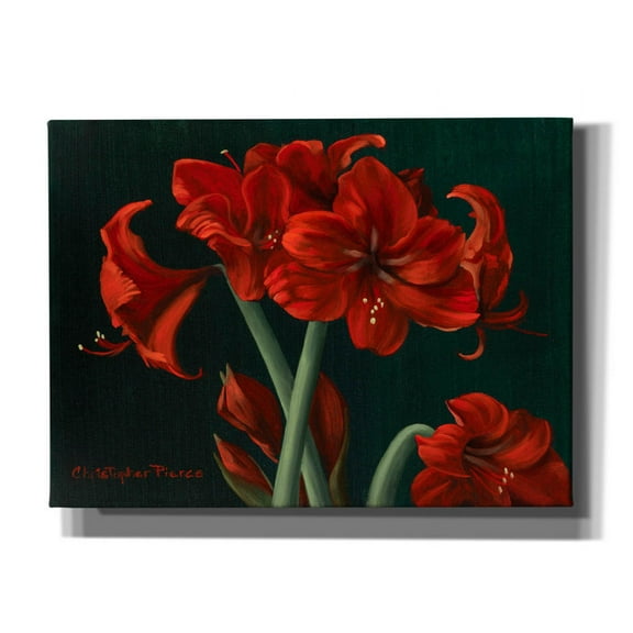 Epic Graffiti 'Crimson Beauties' by Christopher Pierce, Canvas Wall Art, 54"x40"