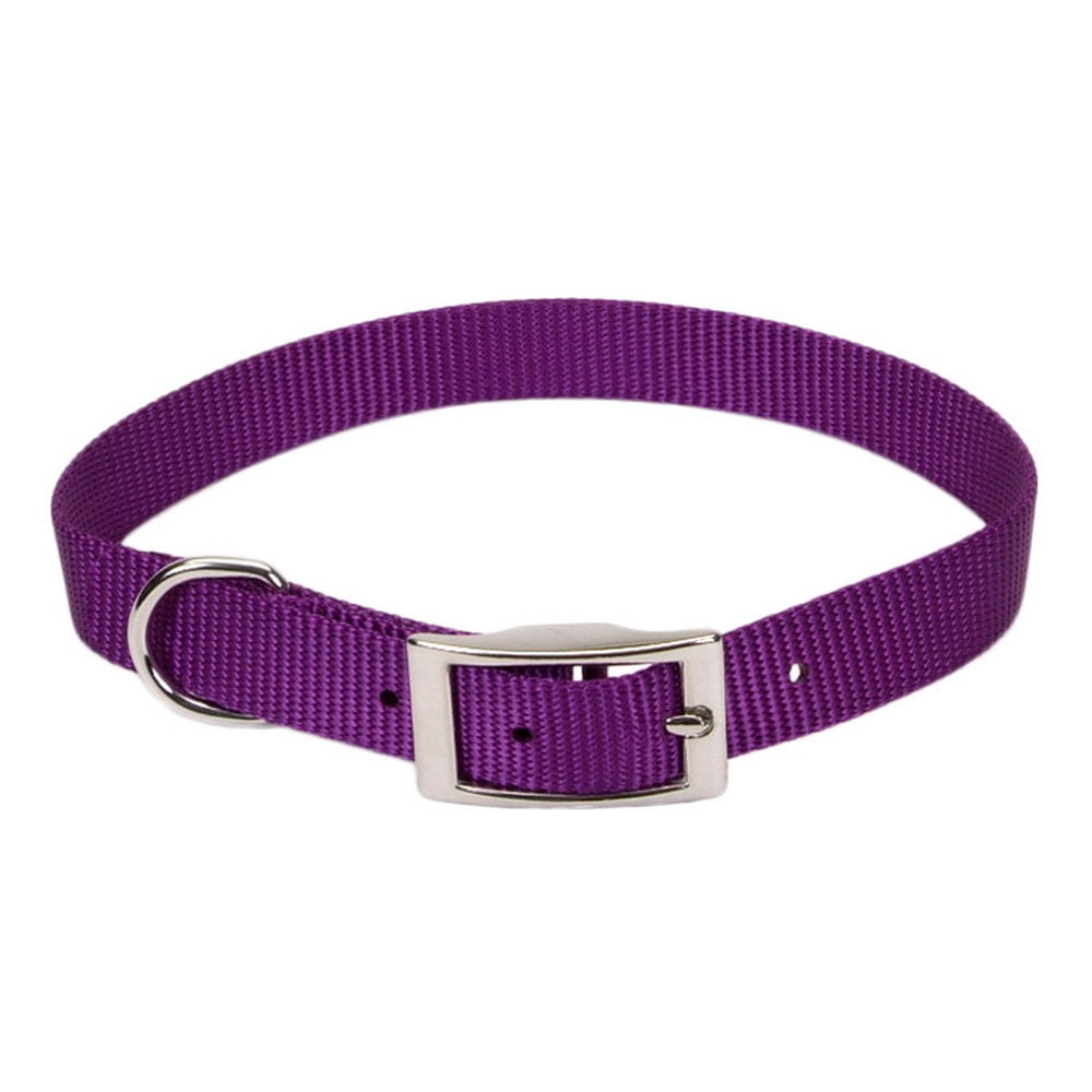 Coastal Pet Nylon Dog Collar (Purple 12 Inch L X 5/8 Inch W) (Pack of 1