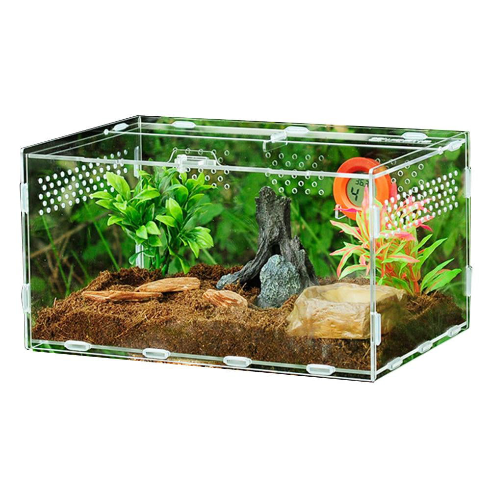 Punchki Acrylic Reptile Feeding Box ，Aquarium Breeding Box All-Round Transparent Carrier for Pet Spiders Scorpions Horned Frogs 