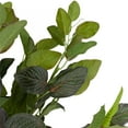 thumbnail image 5 of 18.5" Decorative Artificial Green Two Tone Red Net Floral Bush, 5 of 5