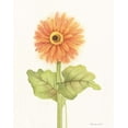 thumbnail image 2 of Babbitt, Gwendolyn 20x24 Gold Ornate Wood Framed with Double Matting Museum Art Print Titled - Happy Flowers II, 2 of 4