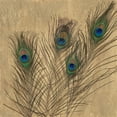 thumbnail image 2 of Fisk, Arnie 20x20 Black Ornate Wood Framed with Double Matting Museum Art Print Titled - Gilded Peacock Feathers, 2 of 4