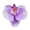 thumbnail image 1 of EIMELI 10pcs Imitation Decorative Phalaenopsis Realistic Design Fake Flowers for Wedding Centerpieces Decoration, 1 of 2