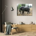 thumbnail image 3 of Dana Underdahl 44x31 Gallery Wrapped Canvas Wall Art Titled - African Elephant II, 3 of 4