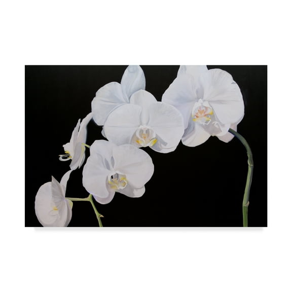 Trademark Fine Art 'Dramatic Orchids I' Canvas Art by Sandra Iafrate