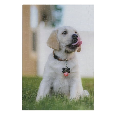 A Puppy price history on PriceWatchPro