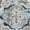 Light Gray/Blue, variant on SAFAVIEH Madison Normand Geometric Floral Area Rug, Light Grey/Fuchsia, 6'7" x 6'7" Round