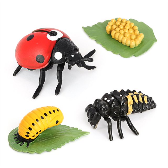 Simulación Conjunto de insectos Modelo de preescolar de crecimiento de plástico Aprendizaje educativo Jardín Decoración miniatura Regalos para niños Irene Inevent FN010053-00