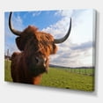 thumbnail image 3 of Designart ' Close Up Portrait Of A Yak ' Farmhouse Canvas Wall Art Print, 3 of 4