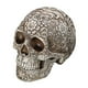 thumbnail image 1 of Bearachild Decoración de calavera Retro, modelo de cabeza de resina de dinosaurio, réplica de esqueleto, colección de figuritas, decoración de Halloween Decoración Bearachild HA011432-00B, 1 of 6