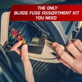 thumbnail image 4 of Tignapoo Kit d'Assortiment de Fusibles à Lame Automobile de 1000 Pcs avec Tailles Mini et Standard pour Protection Électrique de Véhicule, 4 of 6