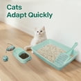thumbnail image 4 of Kit Completo para Caja de Arena para Gatitos PAWISE Baja Entrada con Pala y Juguetes, 4 of 6