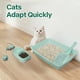 thumbnail image 4 of Kit Completo para Caja de Arena para Gatitos PAWISE Baja Entrada con Pala y Juguetes, 4 of 6