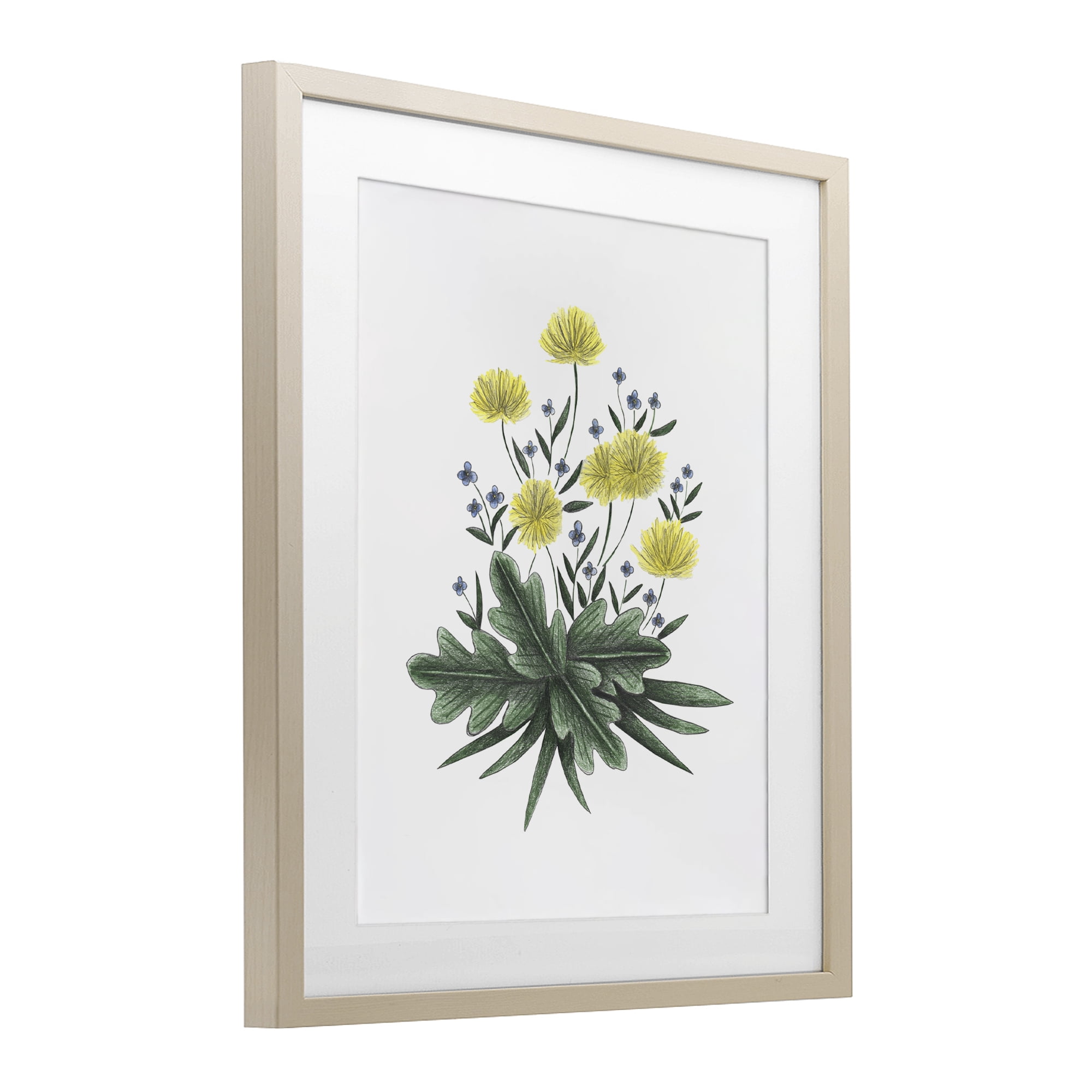 Dandelion Flower Illustration Birch Framed Print Under Glass, design by Cecilia Battaini