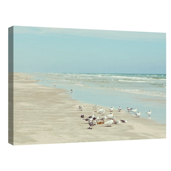 Padre Island Shore Birds by Danita Delimont Canvas Art Print