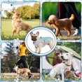 thumbnail image 5 of 【Salvavidas de verano】El diseño de tela de tres capas puede ayudar de manera continua y efectiva a que su perro se mantenga fresco y evite jadeos o golpes de calor., 5 of 5