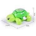 thumbnail image 4 of Juguetes De Tortuga Mini tortuga de plástico con mecanismo de relojería para niños Color Tmvgtek libre de BPA, 4 of 8
