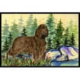 thumbnail image 1 of Carolines Treasures SS8131MAT Paillasson Intérieur Extérieur 18 x 27 Po. Field Spaniel, 1 of 4