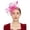 Hot Pink, variant on Women's Headwear Bride Hair Accessories Wedding Bow Top Hat Flower Photo Net Headband, Green