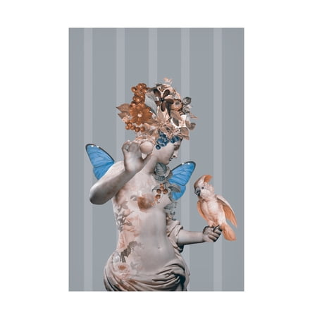 Trademark Fine Art Andrea Haase Tribute To the Delicate Strength of Women Vi Canvas Wall Art